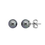 Majorica Jewelry 00324.03.2.000.701.1 (00324-03-2-000-701-1)  JEWELRY_main