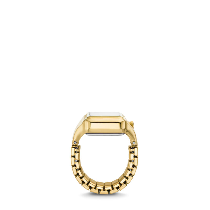 Fossil Raquel (ES5343) Women's Watch_2