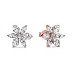 Pandora Jewels Sparkling Herbarium Cluster ***special Price*** (282407C01) Women's JEWELRY_main