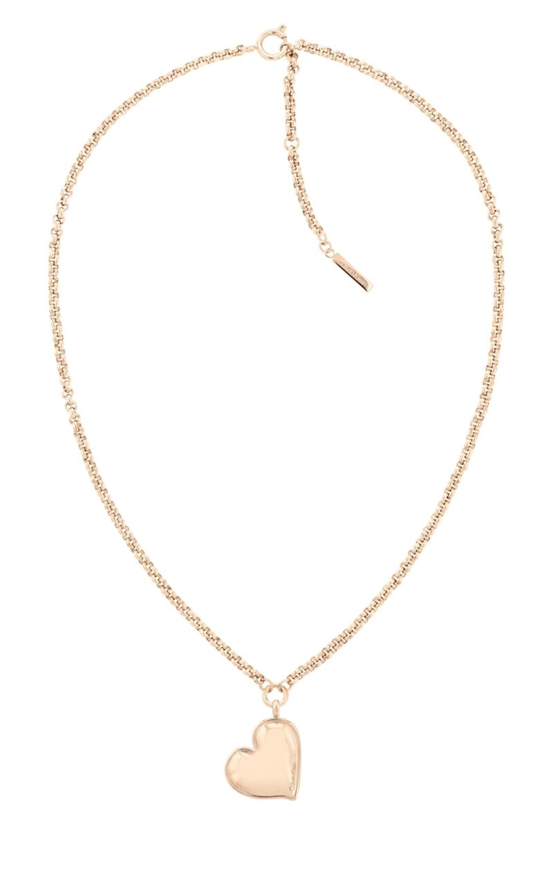 Calvin Klein Jewelry 35000294 (35000294) Women's JEWELRY_main