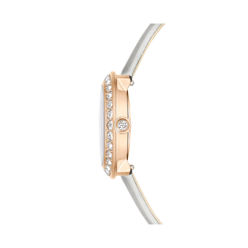 Swarovski Watches 5710105 (5710105)  Watch_4