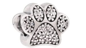 Pandora Women's Charm Link (791714CZ)