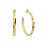 Co88 Collection 8ce-70591 (8CE-70591)  JEWELRY_main