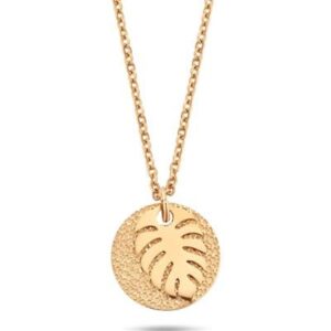 Co88 Collection 8cn-26126 (8CN-26126)  JEWELRY_main