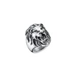 An Jewels Jewelry Aa.alion1-10 (AA-ALION1-10)  JEWELRY_main