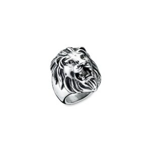 An Jewels Jewelry Aa.alion1-10 (AA-ALION1-10)  JEWELRY_main