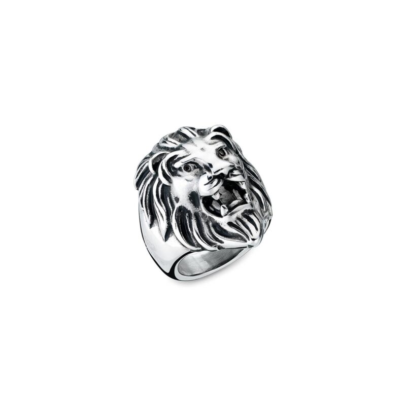 An Jewels Jewelry Aa.alion1-10 (AA-ALION1-10)  JEWELRY_main