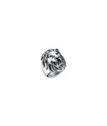 An Jewels Jewelry Aa.alion1-12 (AA-ALION1-12)  JEWELRY_main
