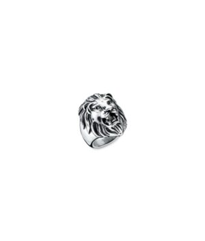 An Jewels Jewelry Aa.alion1-12 (AA-ALION1-12)  JEWELRY_main