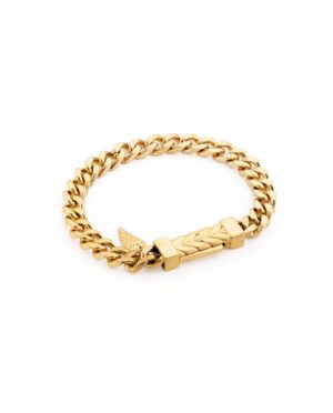 An Jewels Jewelry Aa.p256lg (AA-P256LG)  JEWELRY_main