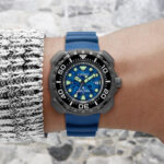 Citizen Promaster Diver’s Eco Drive Super Titanium (BN0227-09L)  Watch_3