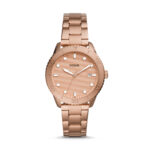 Fossil Dayle Womens Watch (BQ3596)