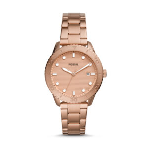 Fossil Dayle Womens Watch (BQ3596)
