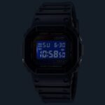 Casio G-shock The Origin - Rainbow Brick Wall Serie (DW-5600RW-1ER) Men's Watch_4