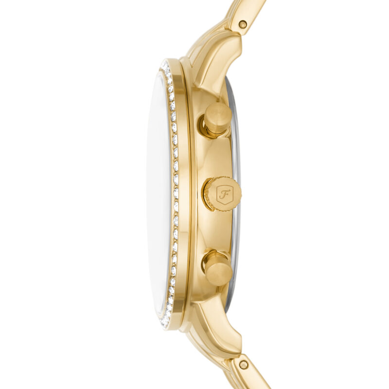 Fossil Neutra (ES5219) Women's Watch_1