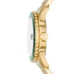 Fossil Blue Dive (FS6030) Men's Watch_1