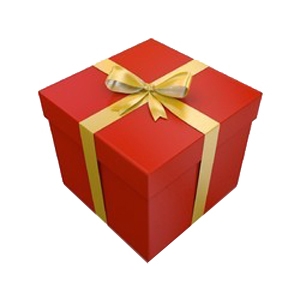 Gift Wrapping / Confezione Regalo / Paquet Cadeaux / Paquete Regalo (GIFT_PACK)  FASHION ACCESSORIES_main