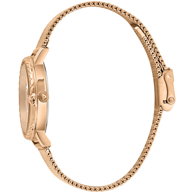 Just Cavalli Animalier (JC1L212M0245) Women's Watch_2