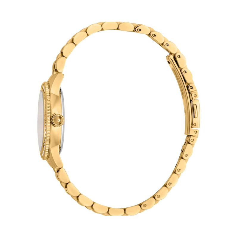 Just Cavalli Jc1l275m0045 (JC1L275M0045) Women's Watch_3