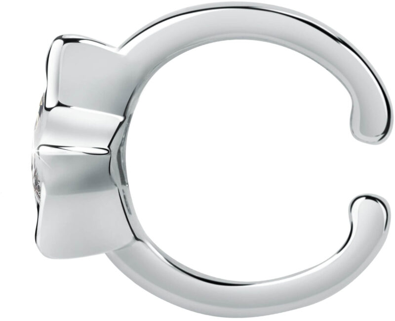 La Petite Story Jewels Women's Earrings (LPS02ARQ145) - Image 4