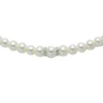 Miluna Pcl3084 (PCL3084)  JEWELRY_main