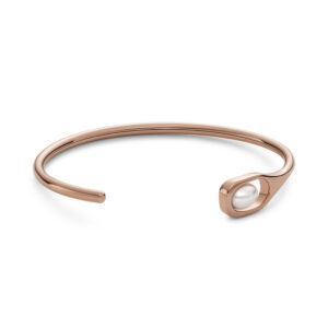 SKAGEN DENMARK JEWELS JEWELRY SKJ1748791 (SKJ1748791)