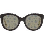 Police Spl408e546xkl (SPL408E546XKL) Women's EYEWEAR_1