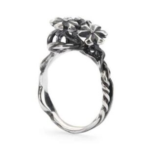Trollbeads Tagri-00304 (TAGRI-00304)  JEWELRY_main
