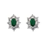 Sense 1003607-ve9 (1003607-VE9)  JEWELRY_main