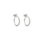 Orecchini Raspini 12254 (12254)  JEWELRY_main