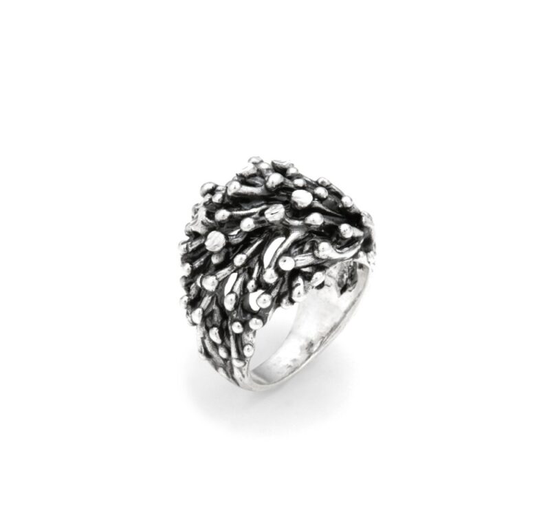 Anelli Raspini 12318_16 (12318_16)  JEWELRY_main