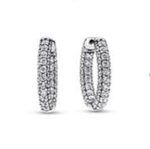 Pandora Women's Earrings (292624C01)