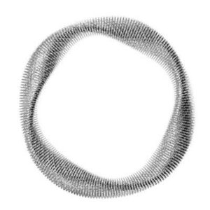 Giodh Bg5420br-1 (BG5420BR-1)  JEWELRY_main
