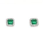 Sense Ea007062 (EA007062)  JEWELRY_main