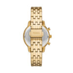 Fossil Neutra (ES5358) Women's Watch_2