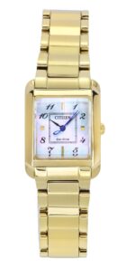 Citizen Ew5602-81d (EW5602-81D)  Watch