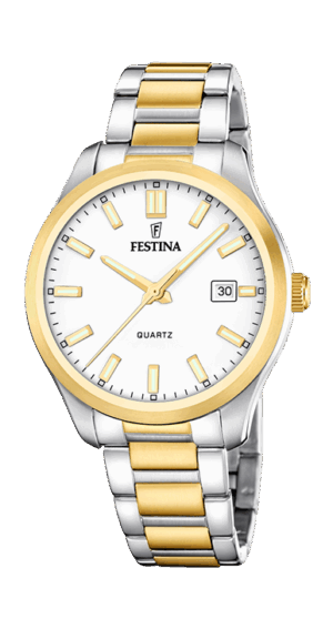 Festina Men's Watch (F20738_1)