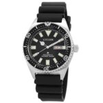Citizen Promaster Diver's Automatic 200 Mt (NY0120-01E)  Watch_main