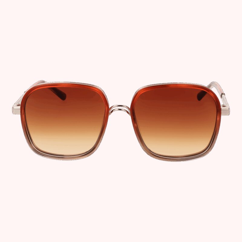 Sandro Paris Women's Sunglasses (SD6050 54106) - Image 2