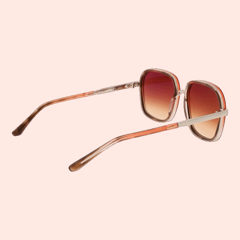 Sandro Paris Women's Sunglasses (SD6050 54106) - Image 3