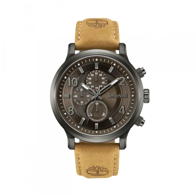 Timberland Hampton Harbour (TDWGF0055703) Men's Watch_main