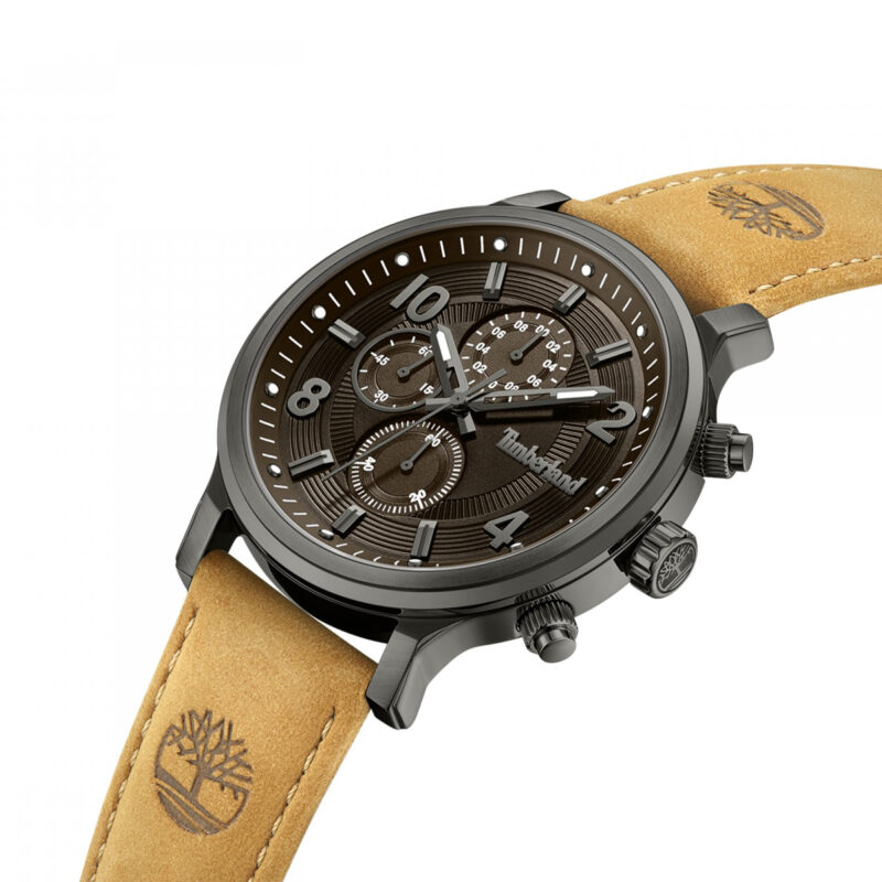 Timberland Hampton Harbour (TDWGF0055703) Men's Watch_1
