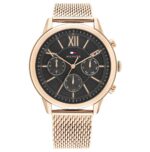Tommy Hilfiger 1710525 (1710525) Men's Watch_main