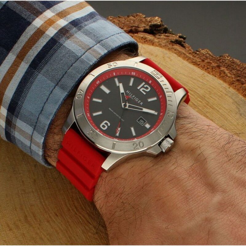 Tommy Hilfiger 1710540 (1710540) Men's Watch_1