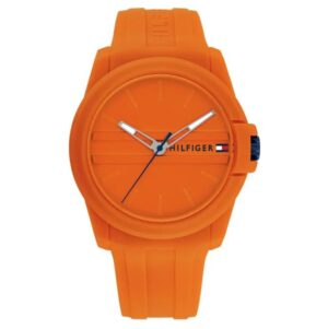 Tommy Hilfiger 1710597 (1710597) Men's Watch_main