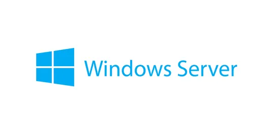 Windows Server 2025 Standard ROK (16 core) – MultiLang (7S1S0009WW)