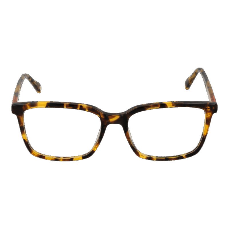 Benetton Beo109 55103 (BEO109 55103) Men's EYEWEAR_1