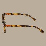 Benetton Beo109 55103 (BEO109 55103) Men's EYEWEAR_2