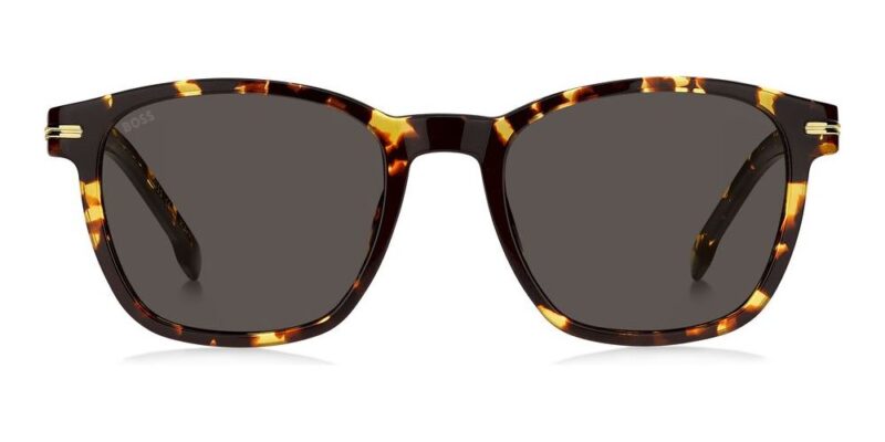 Boss Boss 1505_s (BOSS 1505_S_086-IR AB_52) Men's EYEWEAR_1
