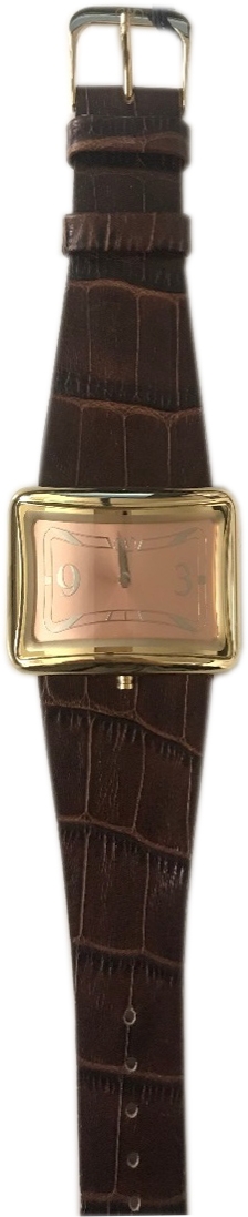 Wintex Milano Women's Watch (CURVIPLAN OR_G MARRONE)